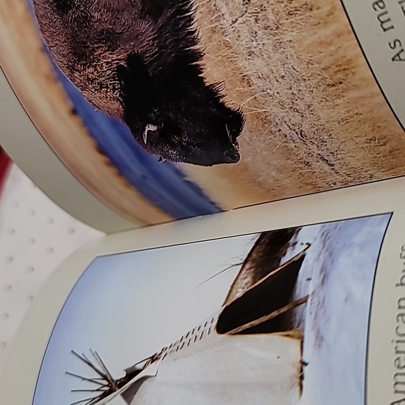 From Caves to Castles Educational Reader Booklet Edition - Picture 3 of 4